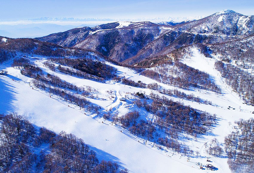 高峰マウンテンパーク
